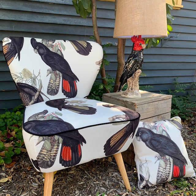 Red tailed Black Cockatoo cushion cover PRE ORDER