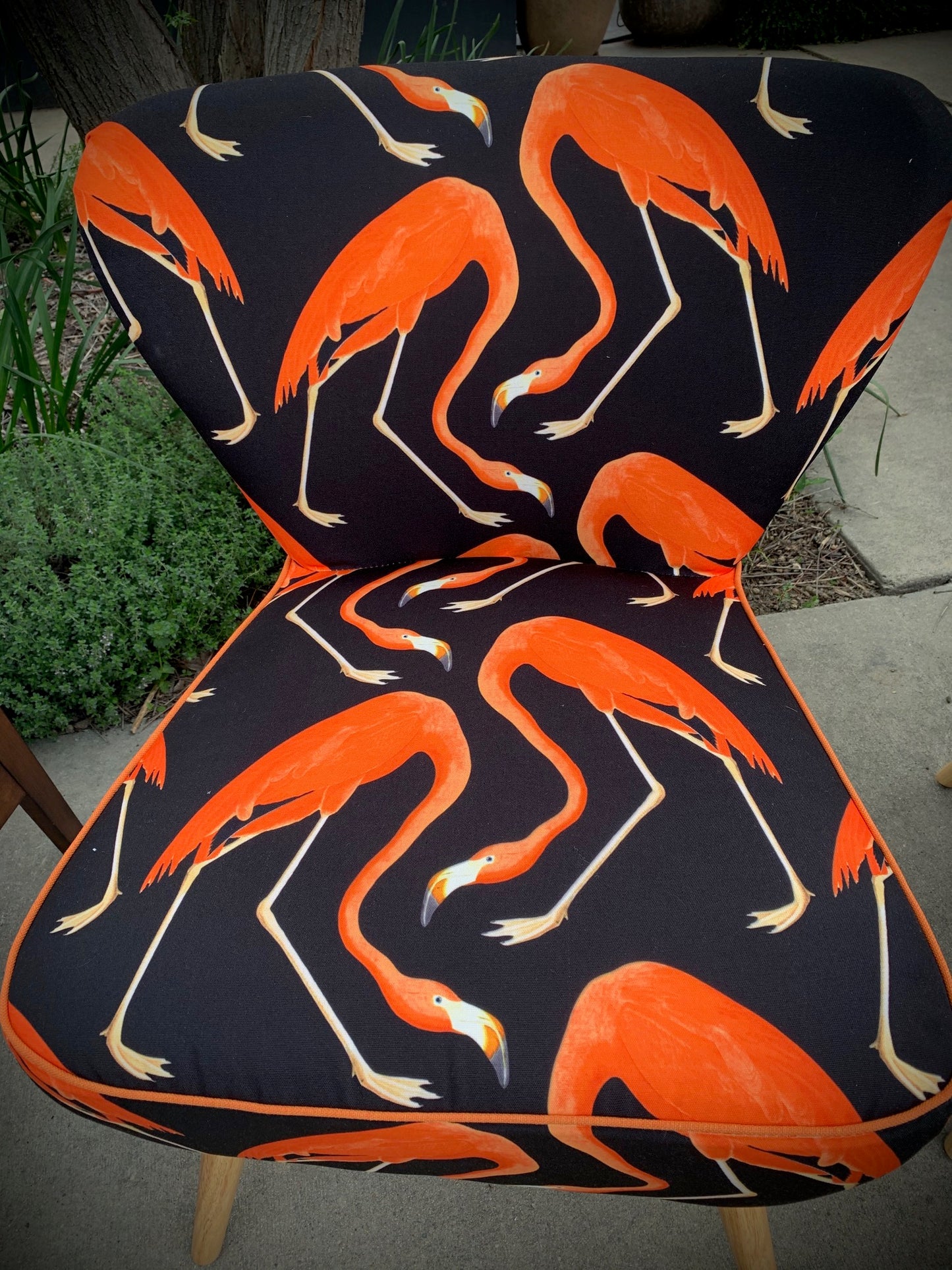 Orange Flamingo on Black Velvet