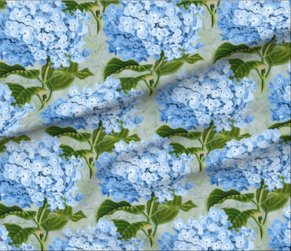 Hydrangea