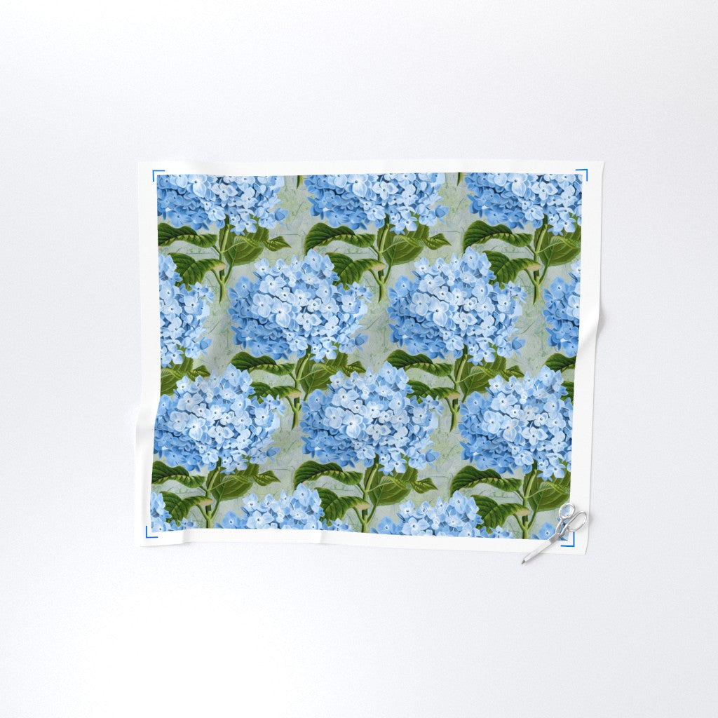 Hydrangea