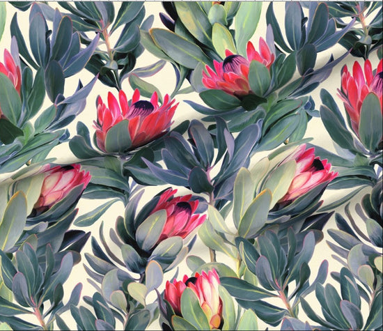 Protea