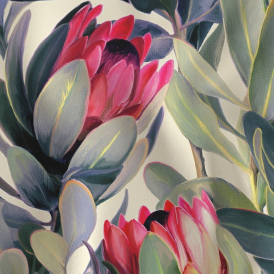 Protea