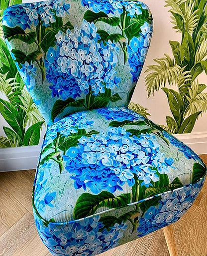 Hydrangea