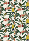 Banksia and Birds Medley