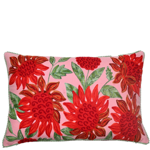 Waratah on Pink Velvet