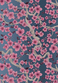 Cherry Plum Blossom