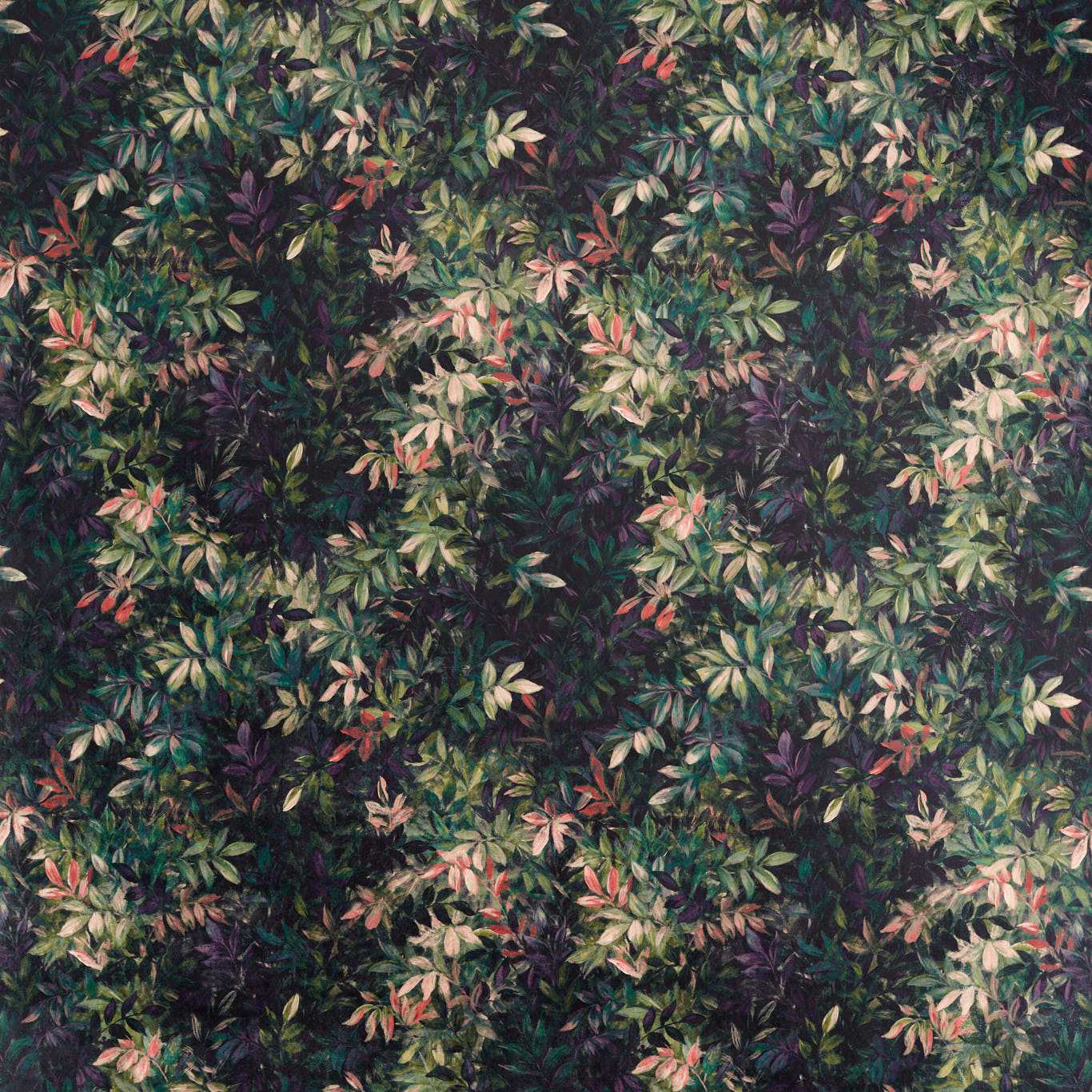 Congo Velvet
