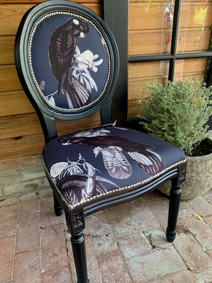 Black Cockatoo on Black accent chair