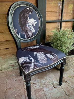 Black Cockatoo on Black accent chair