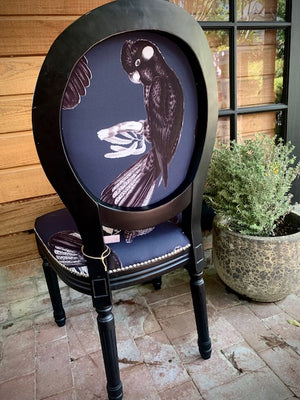 Black Cockatoo on Black accent chair