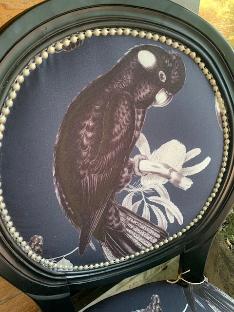 Black Cockatoo on Black accent chair