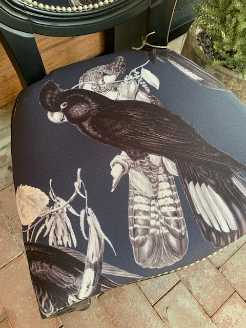 Black Cockatoo on Black accent chair