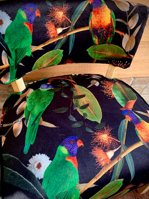 Beaks and Blooms