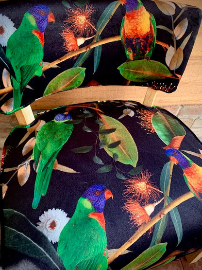 Beaks and Blooms