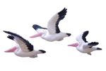 Flying Wall Birds - Pelicans