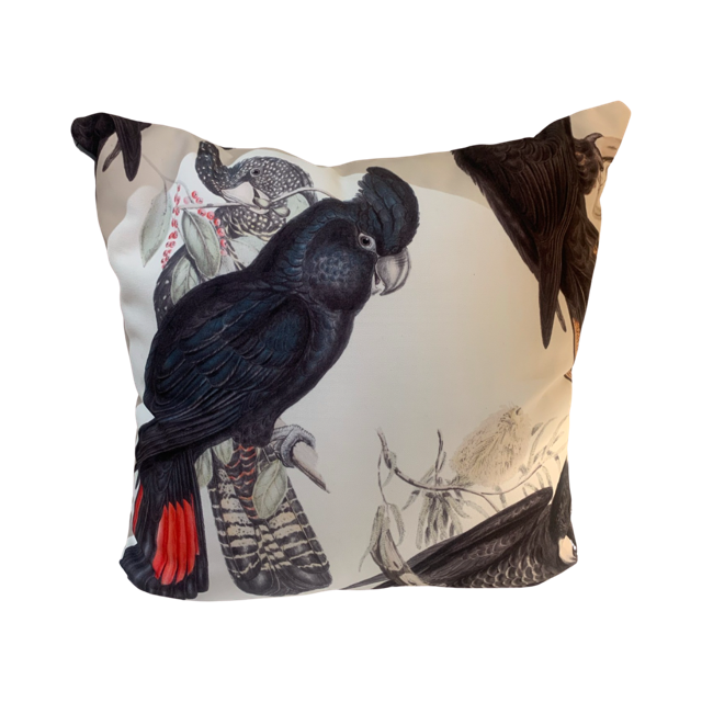 Red tailed Black Cockatoo cushion cover PRE ORDER