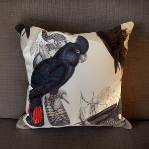 Red tailed Black Cockatoo cushion cover PRE ORDER