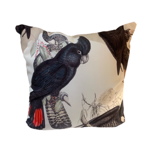 Red tailed Black Cockatoo cushion cover