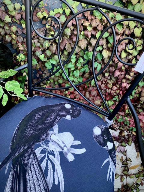 Black Cockatoo Outdoor Chairs