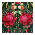 Waratah