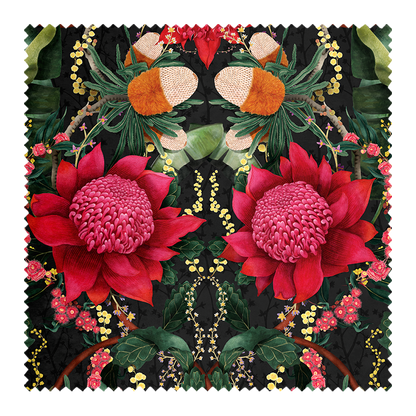 Waratah