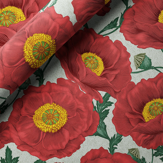 Poppy