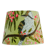 Kookaburra on Sage Green Velvet