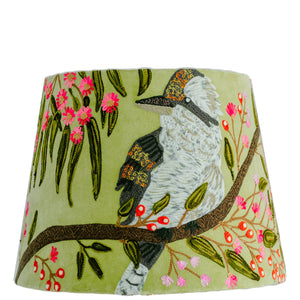 Kookaburra on Sage Green Velvet