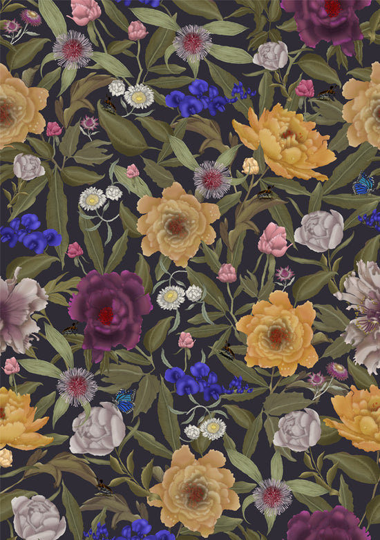 Australian Wildflower Peony