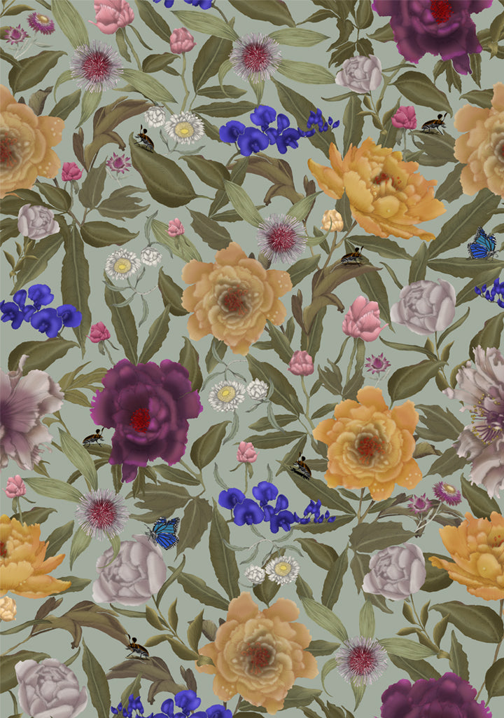 Australian Wildflower Peony