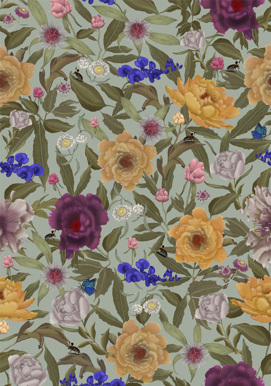 Australian Wildflower Peony