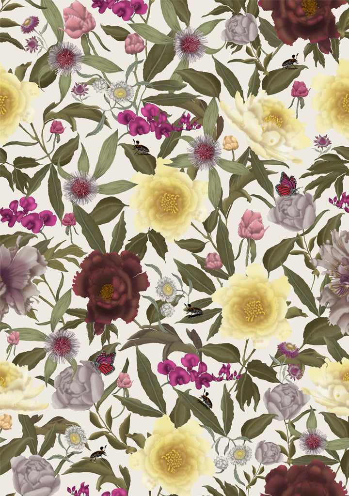 Australian Wildflower Peony