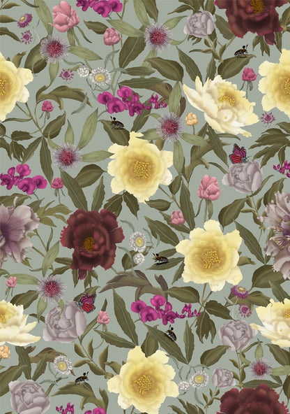 Australian Wildflower Peony