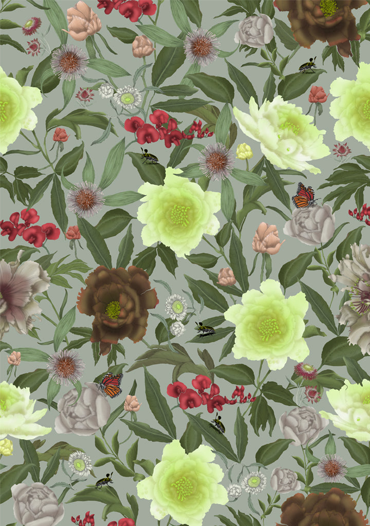 Australian Wildflower Peony