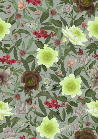 Australian Wildflower Peony