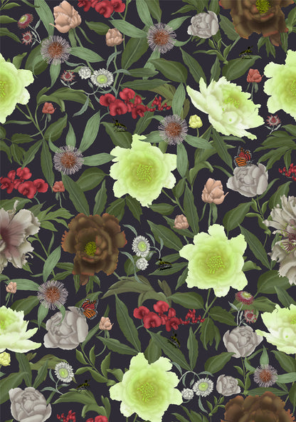 Australian Wildflower Peony