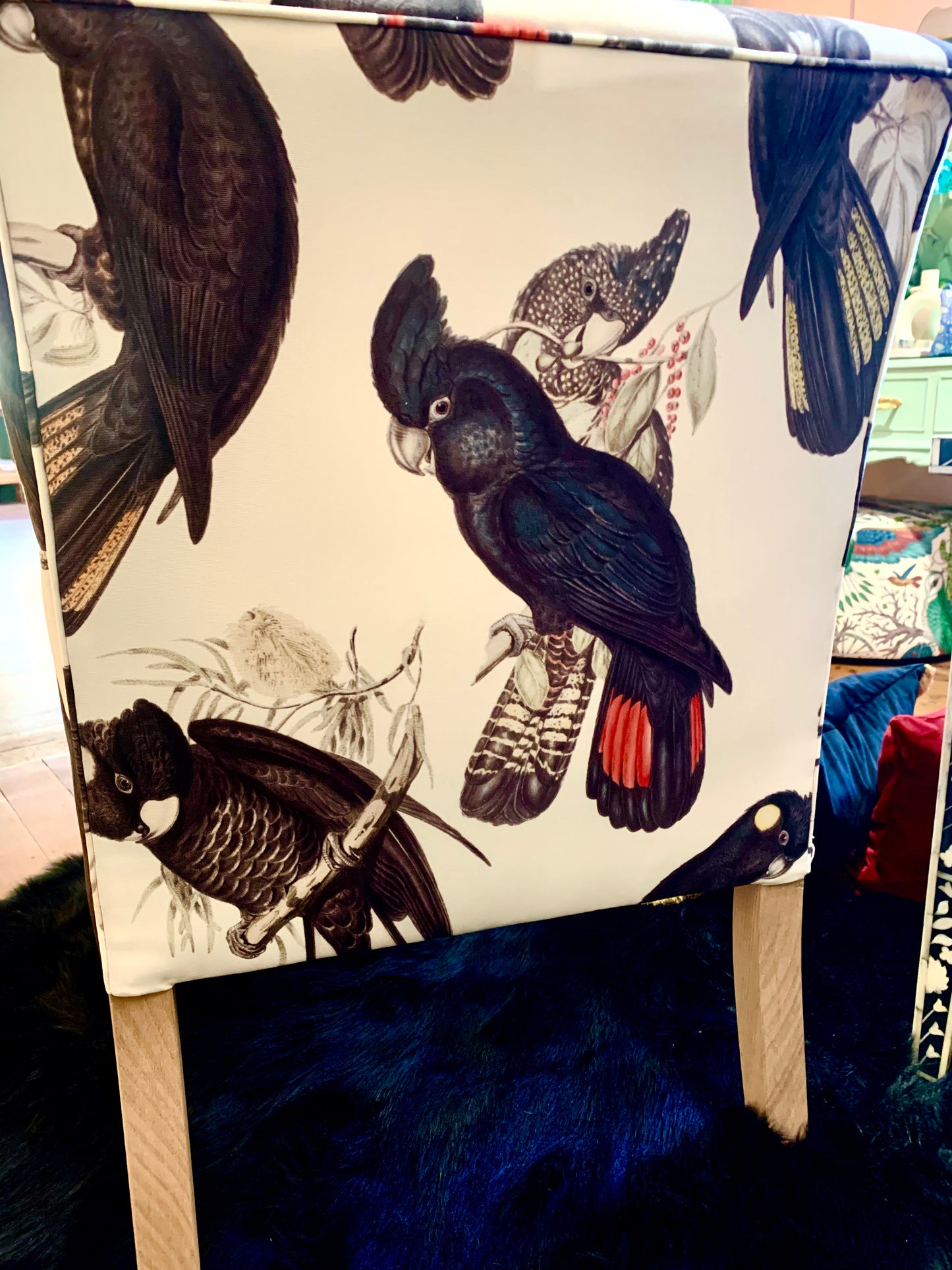 Black Cockatoo Armchair PRE ORDER