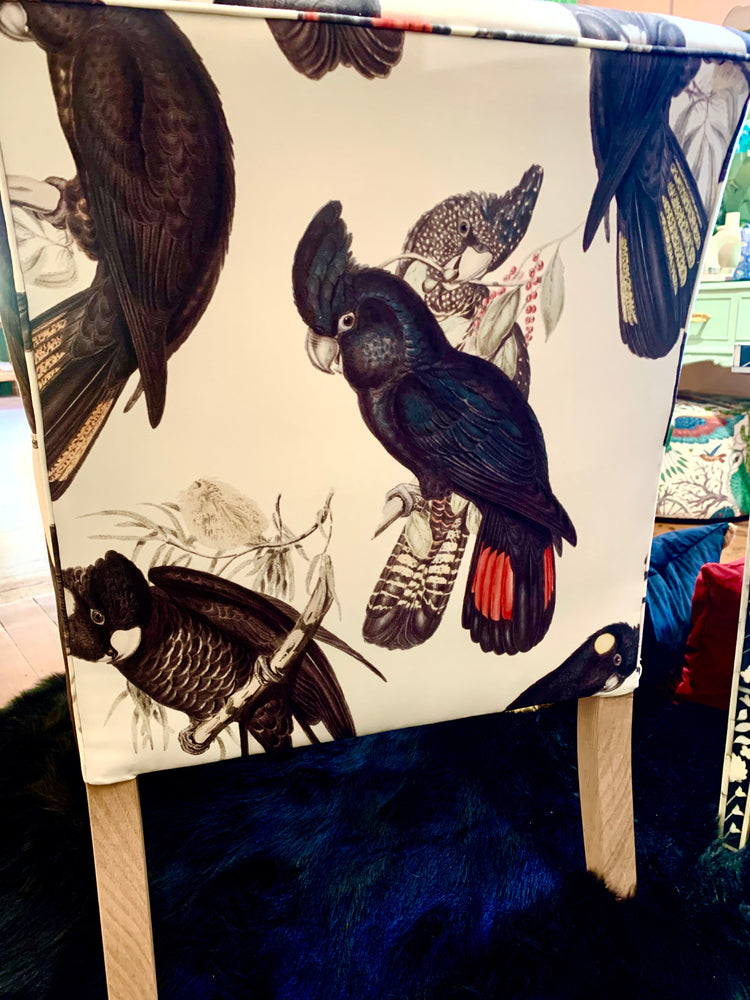 Black Cockatoo Armchair PRE ORDER