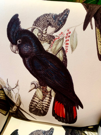 Black Cockatoo Armchair PRE ORDER