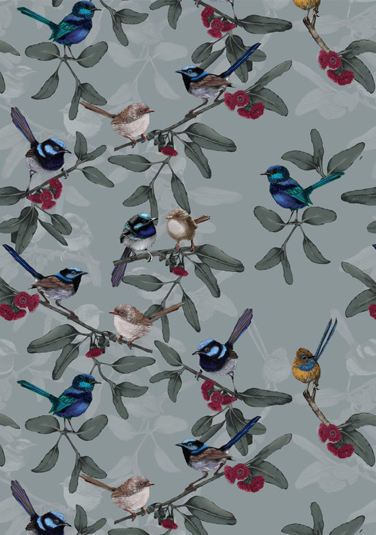 Little Wrens