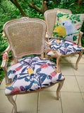 Wren and Banksia Rattan Backed Carver
