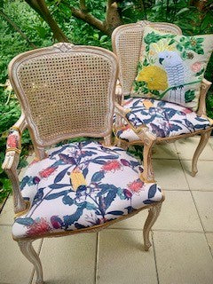 Wren and Banksia Rattan Backed Carver