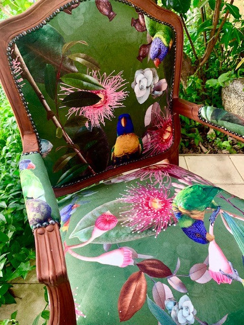Birds and Gums Velvet and Mahogany Armchair